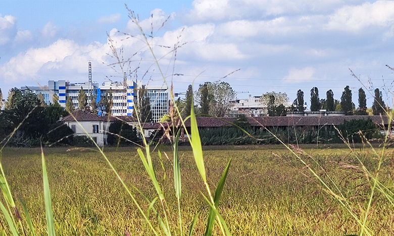 Ronchettone borgo antico di Milano